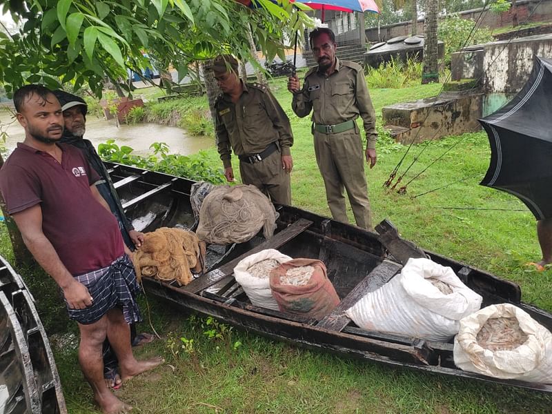 সুন্দরবন থেকে জব্দ করা হয়েছে চিংড়ি, জালসহ নৌকা। আজ বৃহস্পতিবার সকালে কাশিয়াবাদ ফরেস্ট স্টেশনের সামনে